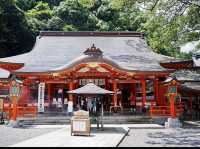 Kii Katsuura Kumano Kodo: The Daichimon-zaka Hike & Nachi Falls Challenge! 🚶‍♀️💦