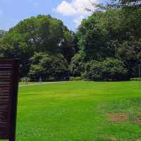Shinjuku Gyoen National Garden