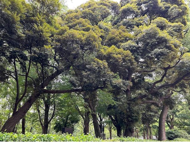 Ueno Park