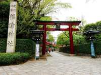 Nezu Shrine