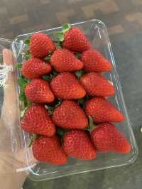 ตลาดปลาโอซาก้าที่สดและราคาดี