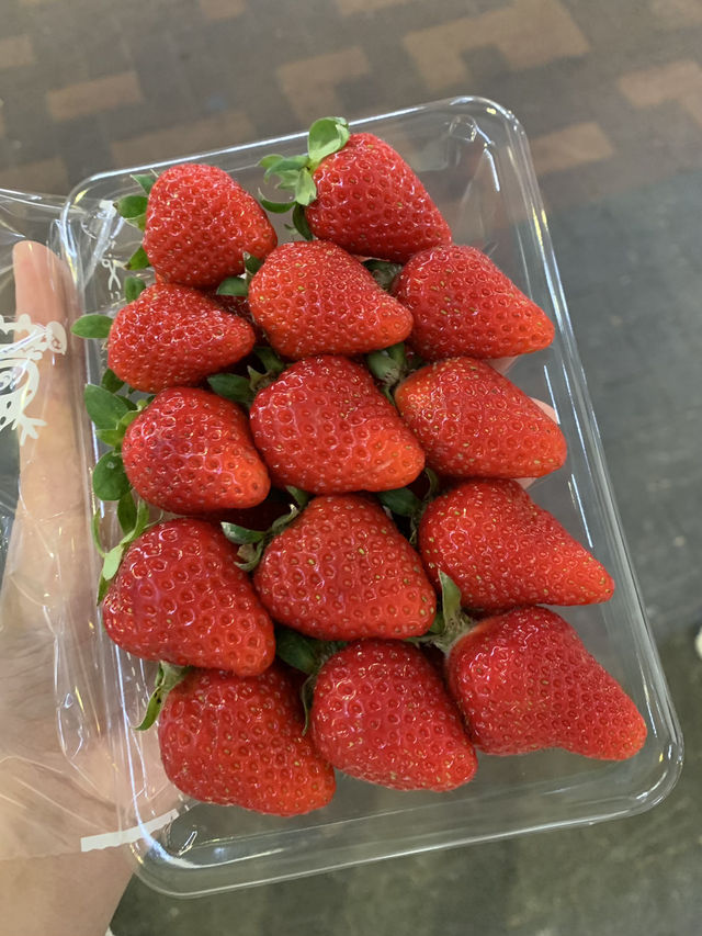 ตลาดปลาโอซาก้าที่สดและราคาดี