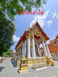 นั่งเรือ⛴️ชมแม่น้ำเจ้าพระยา นนทบุรี