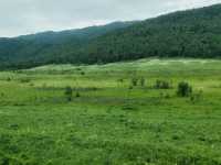 Hemu: A Serene Painting of Verdant Valleys
