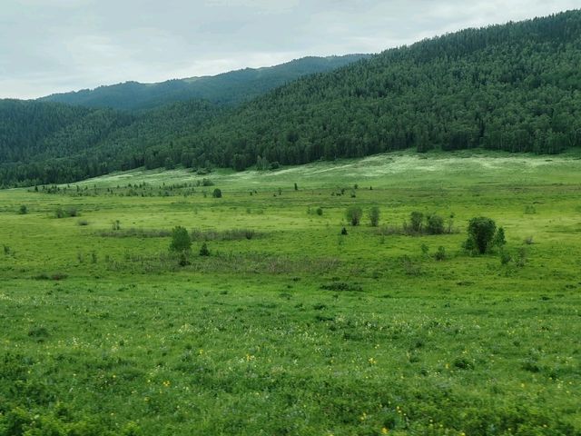 Hemu: A Serene Painting of Verdant Valleys