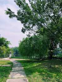 Into the Wild: First Impressions at Paya Indah Wetlands