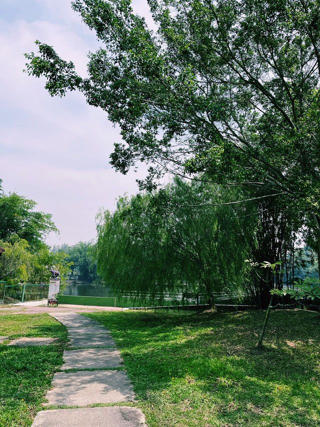 Into the Wild: First Impressions at Paya Indah Wetlands