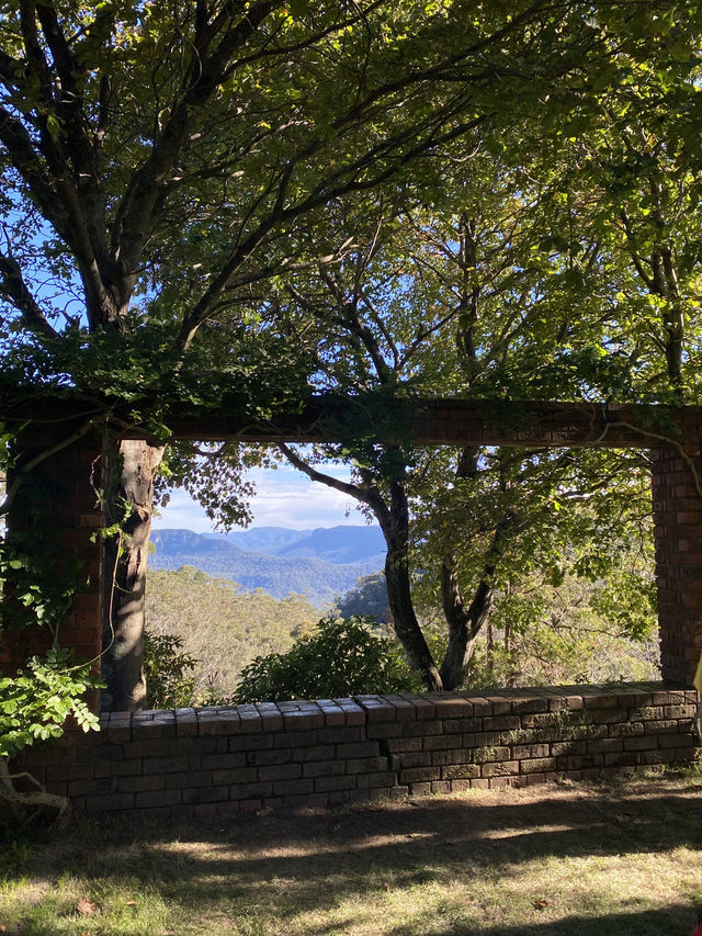Everglades at the Blue Mountains