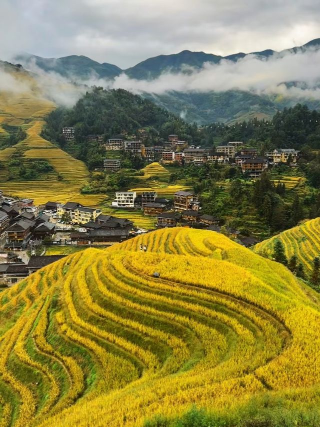 Where Dragons Sleep: The Beauty of Longji Terraces