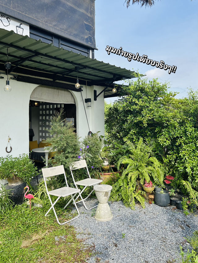 คาเฟ่น่ารักที่แอบซ่อนอยู่กลางธรรมชาติ 🌿☕