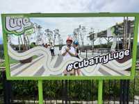 Fantastic Skyline Luge Experience