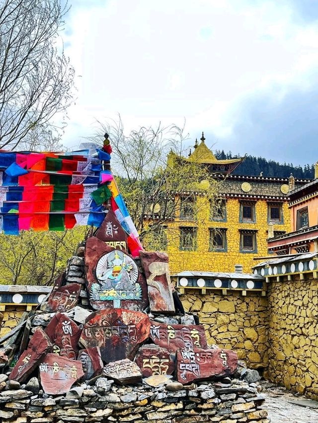 Breathtaking Bliss in Diqing