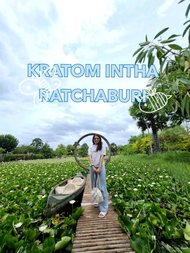 KRATOM INTHA RATCHABURI