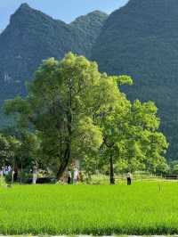 Drifting Through Paradise: The Magic of Yangshuo