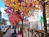 Vielha and Sant Maurici National Park my favourite in Spain