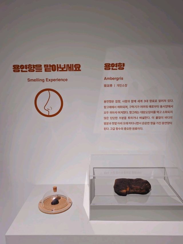 볼거리 많은 곳