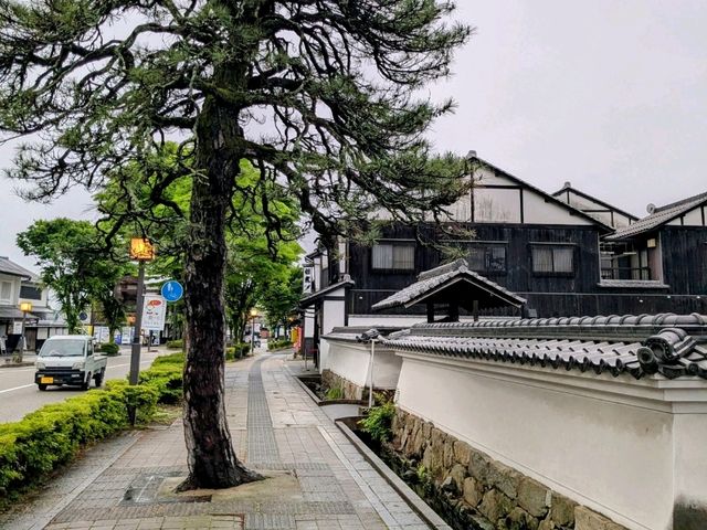 彥根 | 夢京橋城堡路，走訪江戶風情的彥根城下町