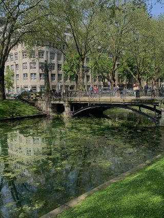 Рекомендуемый эмоциональный маршрут по Дюссельдорфу 🍃 От прогулки по каналу до бархатного кафе и японского бара — это идеальный маршрут на целый день!
