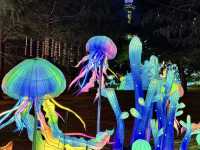 🤩 Qingdao's Zhongshan Park: A Magical Summer Night Lantern Fair! ✨