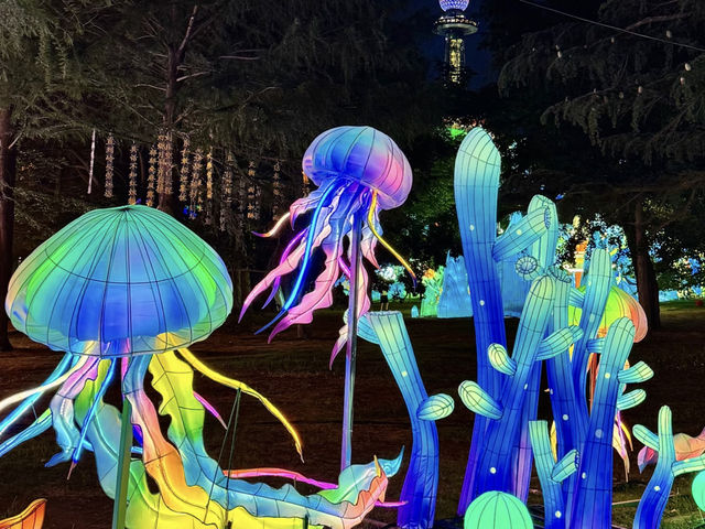 🤩 Qingdao's Zhongshan Park: A Magical Summer Night Lantern Fair! ✨