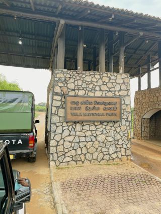 [Yala National Park] Safari experience in Sri Lanka