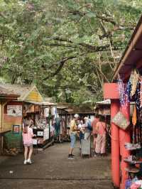 4 Days Trip in Cairns