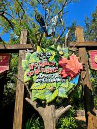 Disney’s Animal Kingdom Highlights | Avatar, Safari & Himalayan Thrills