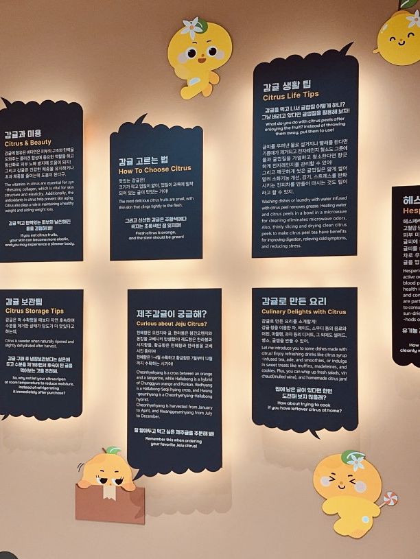 Engaging Activities for Families & Refreshing Hallabong Drinks