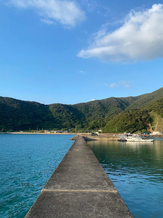奄美大島で心ほどける島時間。青い海と緑の森に癒される旅