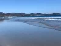 高知の“ウユニ塩湖”！？入野の浜で幻想的な海の旅を