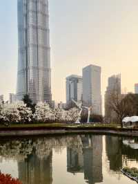 A Serene Green Heart Amidst Shanghai's Skyscrapers