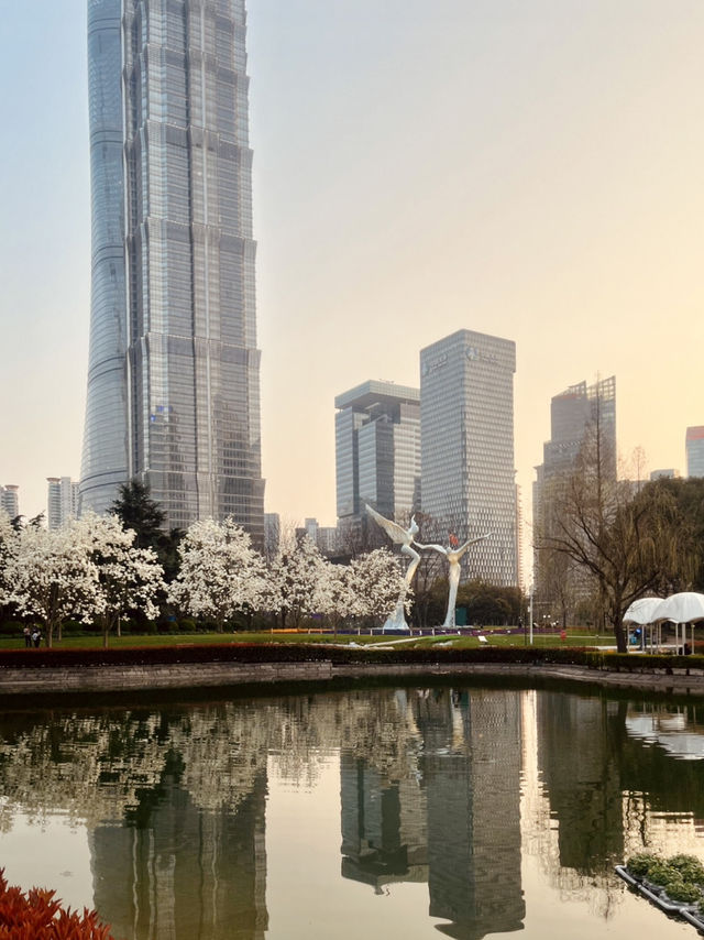 A Serene Green Heart Amidst Shanghai's Skyscrapers A Serene Green Heart Amidst Shanghai's Skyscrapers