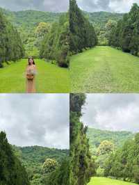 ค่าเฟ่ดังในเชียงใหม่ ฟิลเหมือนอยู่ต่างประเทศ