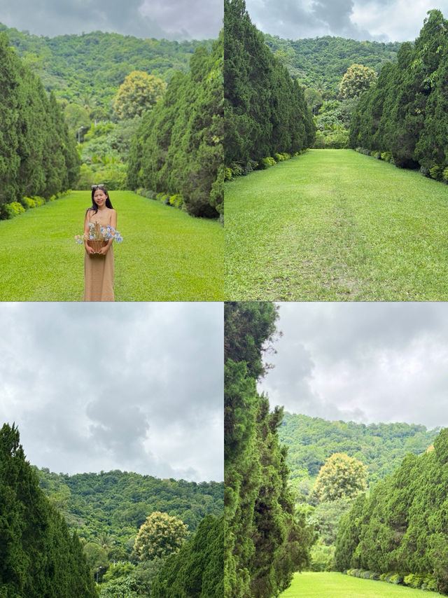 ค่าเฟ่ดังในเชียงใหม่ ฟิลเหมือนอยู่ต่างประเทศ