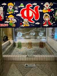 Experience the History and Relaxation at Beitou Hotspring Museum