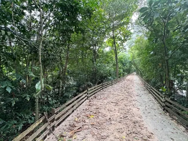 悠閒漫步雙溪布洛濕地保護區