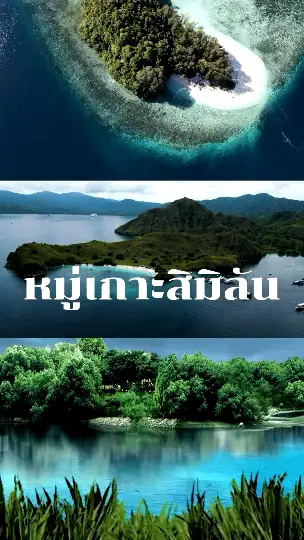 Similan Islands, coral diving