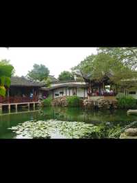 Suzhou Travel Review — Zen Vibes & Water Town Whispers