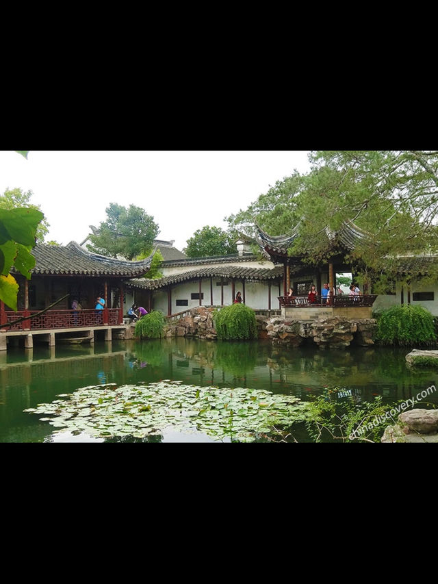 Suzhou Travel Review — Zen Vibes & Water Town Whispers