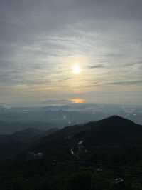 สะพานมือยักษ์ Golden Bridge
