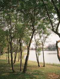 แลนด์มาร์กเป็ดเหลือง & สวนสาธารณะหนองประจักษ์ อุดร