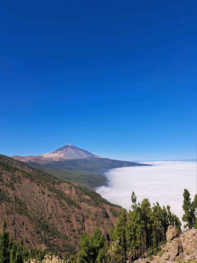 Teide National Park (Tenerife, Canary Islands)