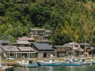 Travel to Japan to see cats