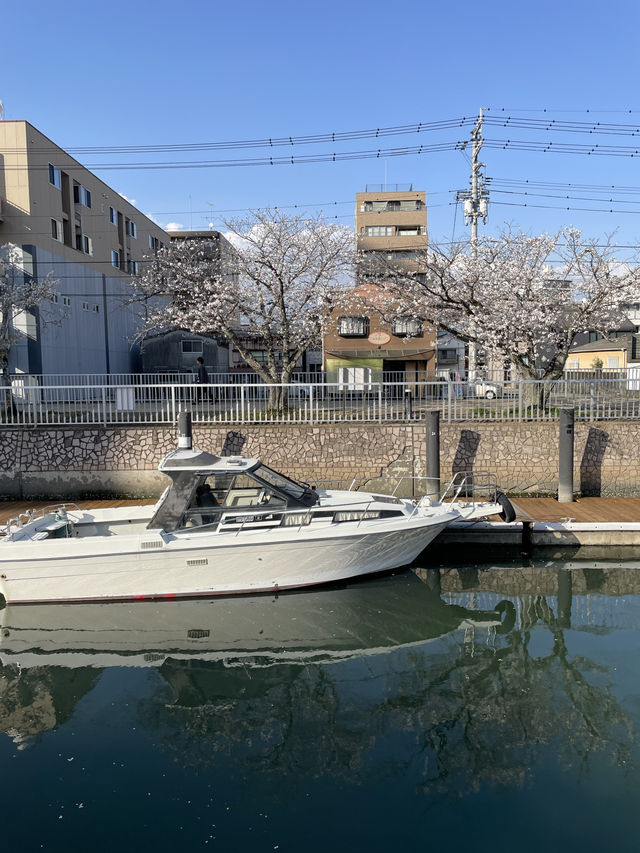 四国ドライブ旅🚗✨寄り道ですら絶景すぎた