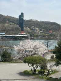도심 속 힐링 산책, 명암저수지 🌿🦆