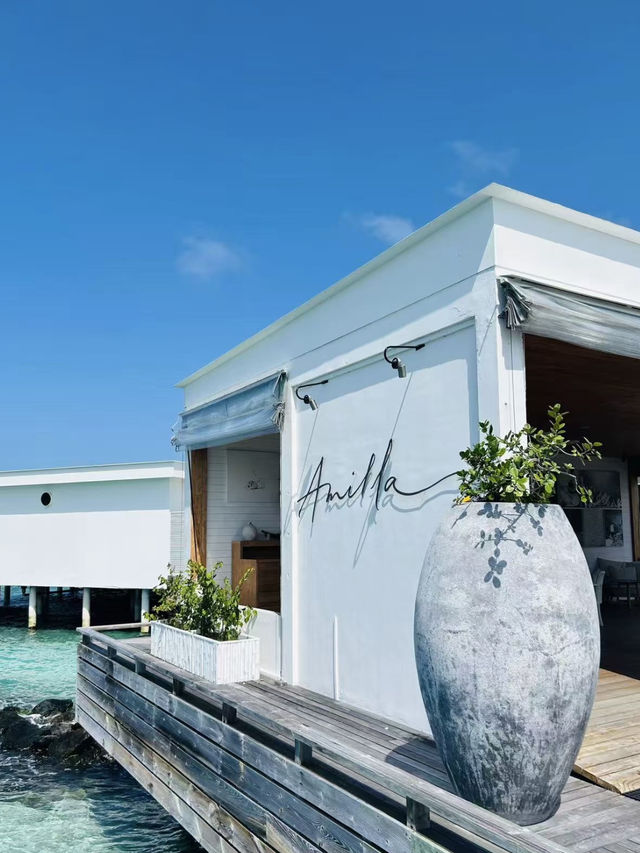 Amilla Maldives Resort & Residences🌴🇲🇻✨