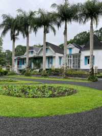 Discovering the Charm of Mauritius in Black River