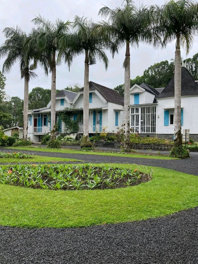 Discovering the Charm of Mauritius in Black River