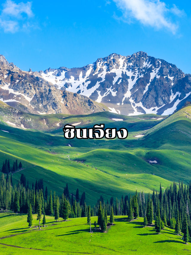 ซินเจียง ซินเจียง