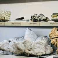 Small but great museum with lots to see including fossils, rocks and gemstones. There are some free activity sheets and a room with books, colouring sheets and puzzles